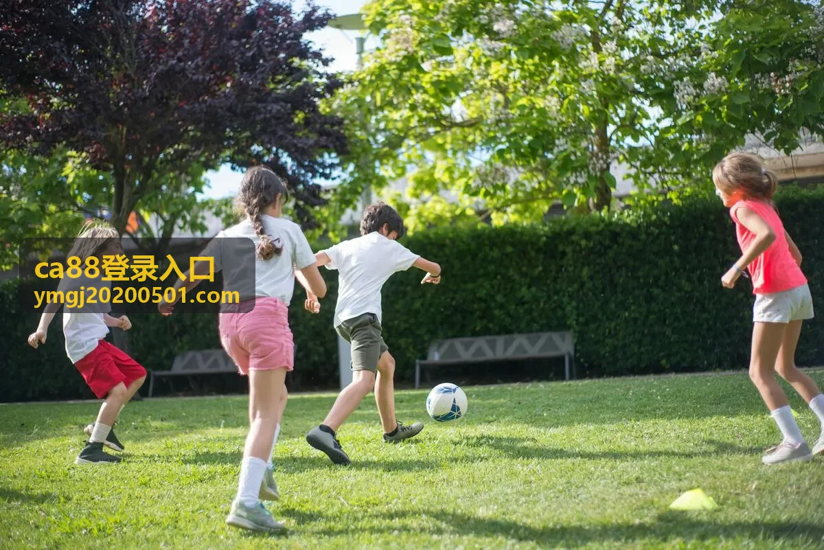 移动端通过ca88登录入口完成安全验证
