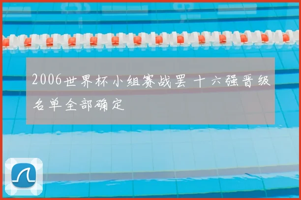 2006世界杯小组赛战罢 十六强晋级名单全部确定