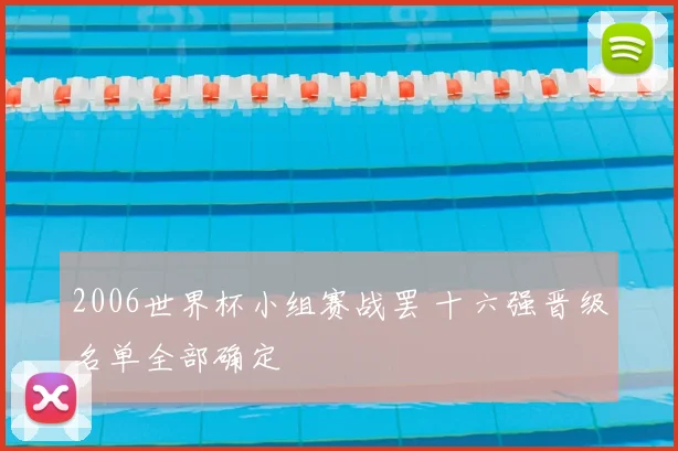 2006世界杯小组赛战罢 十六强晋级名单全部确定