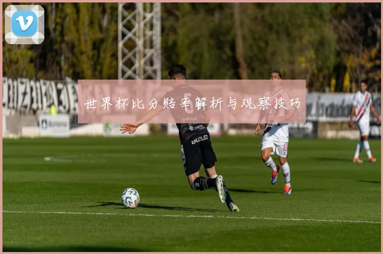 世界杯比分赔率解析与观察技巧