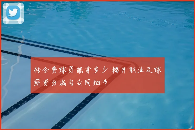 转会费球员能拿多少 揭开职业足球薪资分成与合同细节