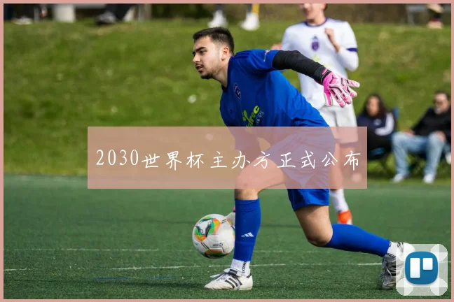 2030世界杯主办方正式公布