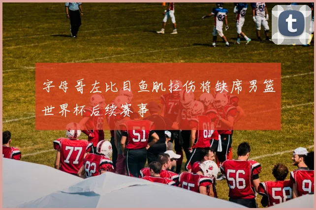 字母哥左比目鱼肌拉伤将缺席男篮世界杯后续赛事