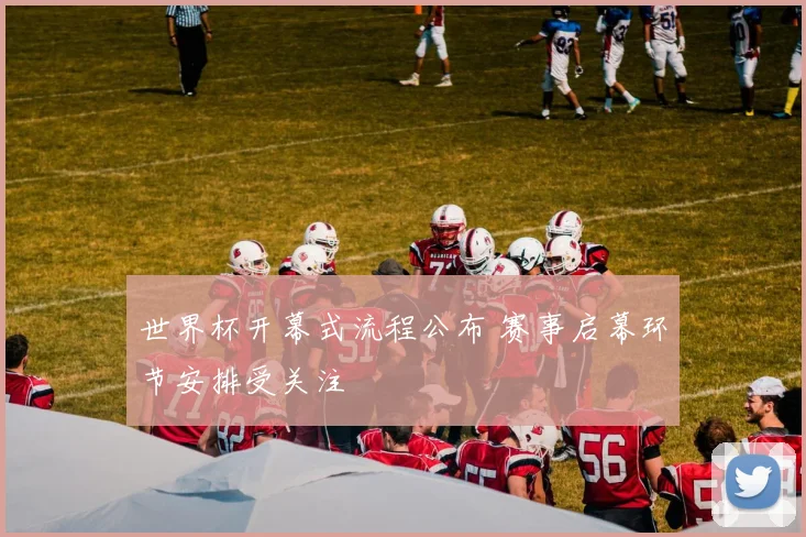 世界杯开幕式流程公布 赛事启幕环节安排受关注