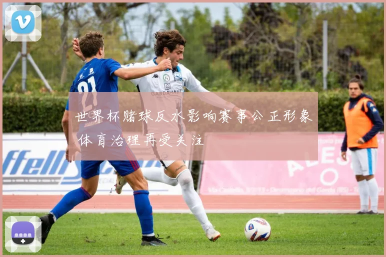 世界杯赌球反水影响赛事公正形象 体育治理再受关注