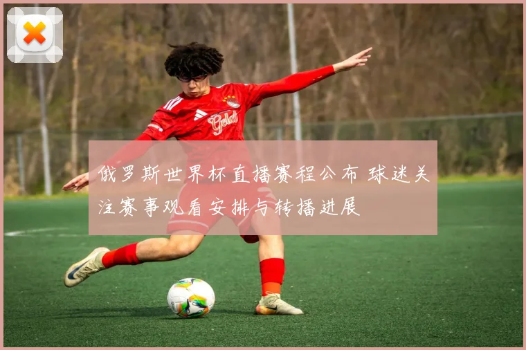 俄罗斯世界杯直播赛程公布 球迷关注赛事观看安排与转播进展