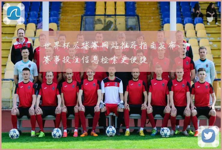 世界杯买球赛网站推荐指南发布，赛事投注信息检索更便捷
