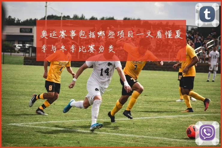 奥运赛事包括哪些项目一文看懂夏季与冬季比赛分类