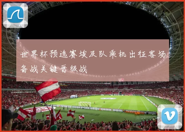 世界杯预选赛埃及队乘机出征客场备战关键晋级战