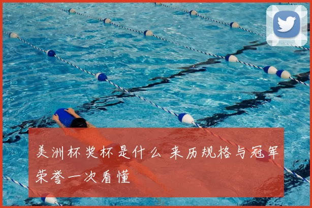 美洲杯奖杯是什么 来历规格与冠军荣誉一次看懂