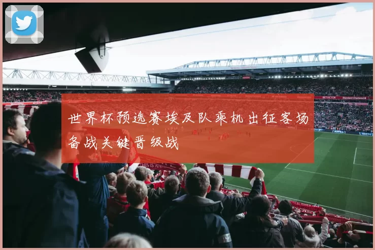 世界杯预选赛埃及队乘机出征客场备战关键晋级战