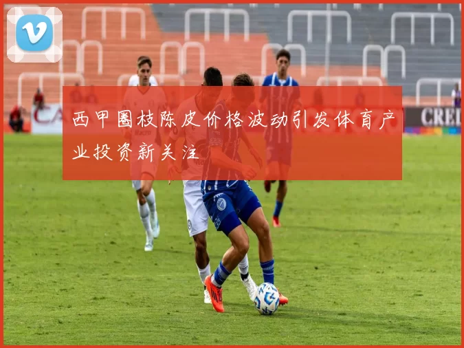 西甲圈枝陈皮价格波动引发体育产业投资新关注